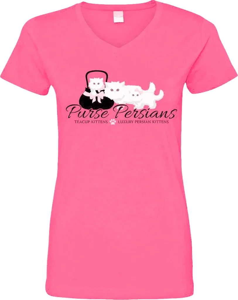 Purse Persians Kitten _business apparel