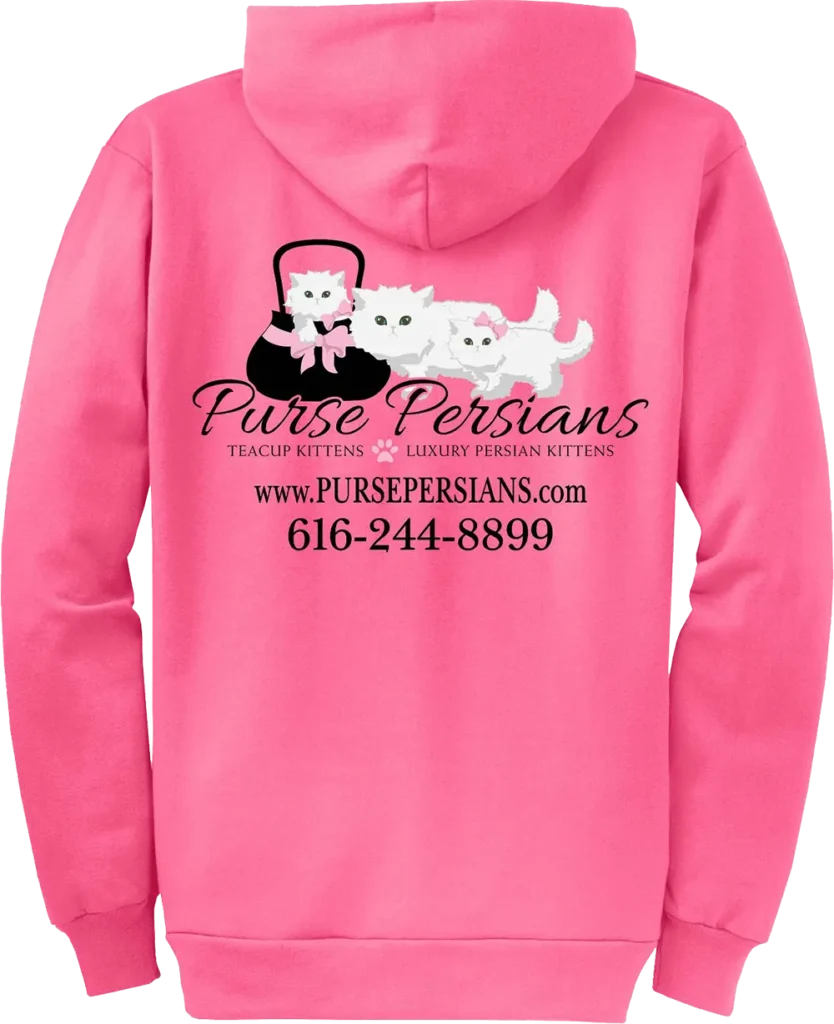 Purse Persians Kitten _business apparel