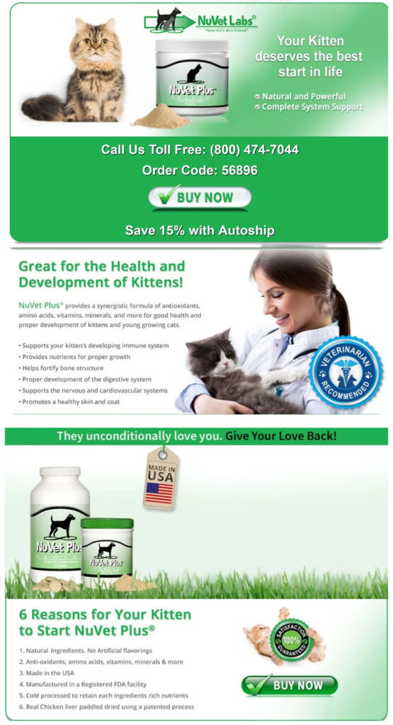 Green-and-white health poster with cat and woman, promoting pet care and wellness tips