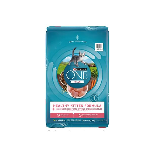 Purina One Kitten Food, Purse Persian Care Products